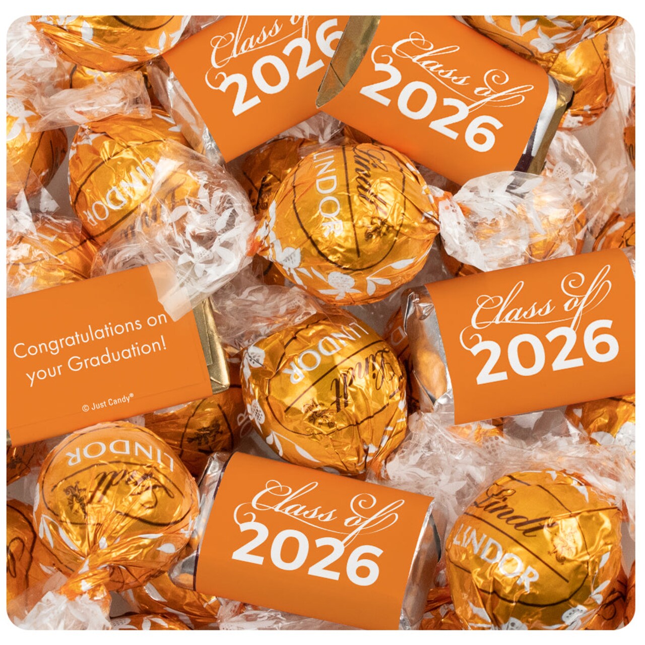 65 Pcs Light Blue Graduation Candy Party Favors Hershey's Miniatures and Truffles by Just Candy